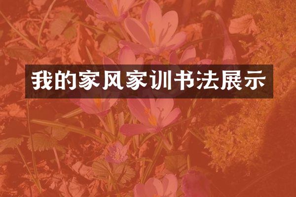 我的家风家训书法展示