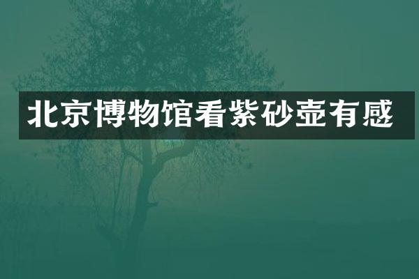 北京博物馆看紫砂壶有感