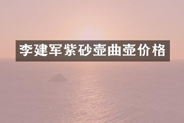 李建军紫砂壶曲壶价格