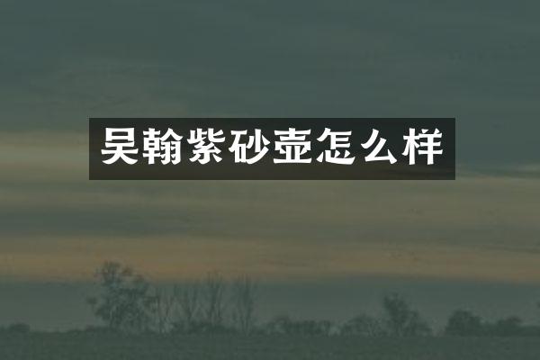 吴翰紫砂壶怎么样