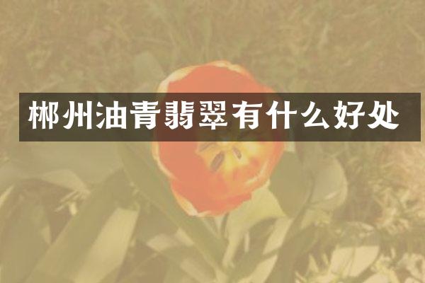 郴州油青翡翠有什么好处