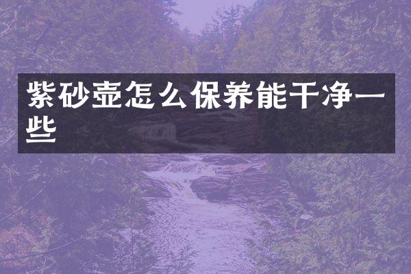 紫砂壶怎么保养能干净一些