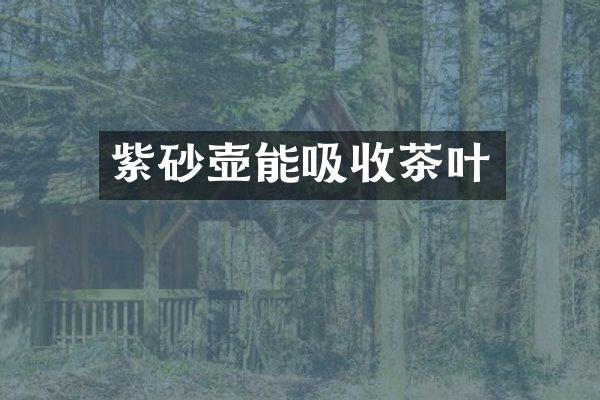 紫砂壶能吸收茶叶