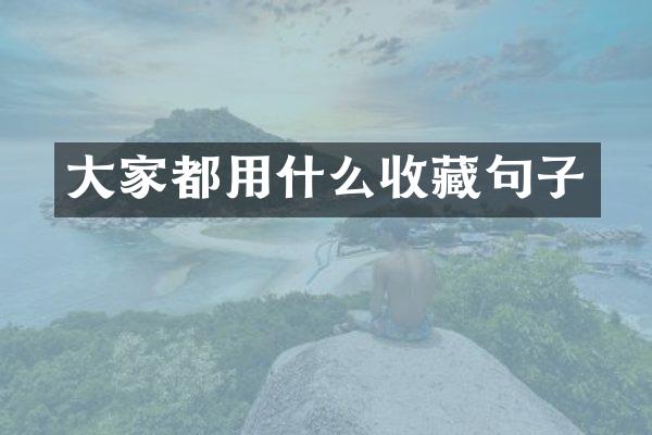 大家都用什么收藏句子