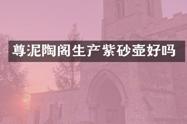 尊泥陶阁生产紫砂壶好吗