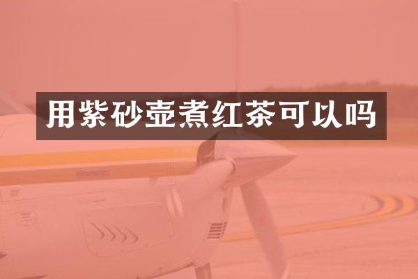 用紫砂壶煮红茶可以吗