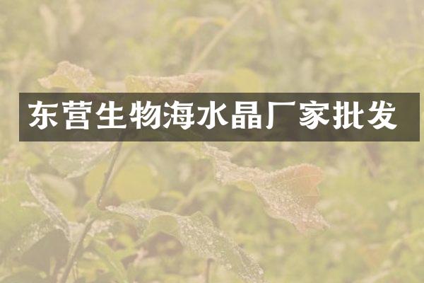 东营生物海水晶厂家批发