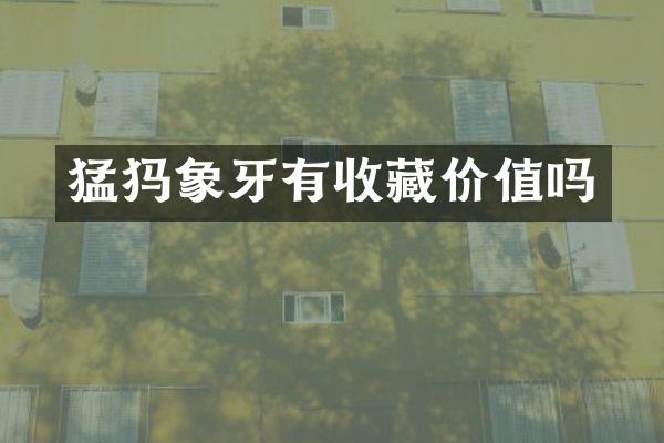 猛犸象牙有收藏价值吗