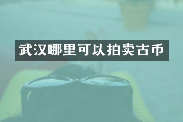武汉哪里可以拍卖古币