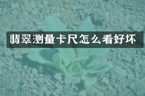 翡翠测量卡尺怎么看好坏