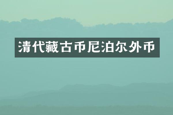 清代藏古币尼泊尔外币