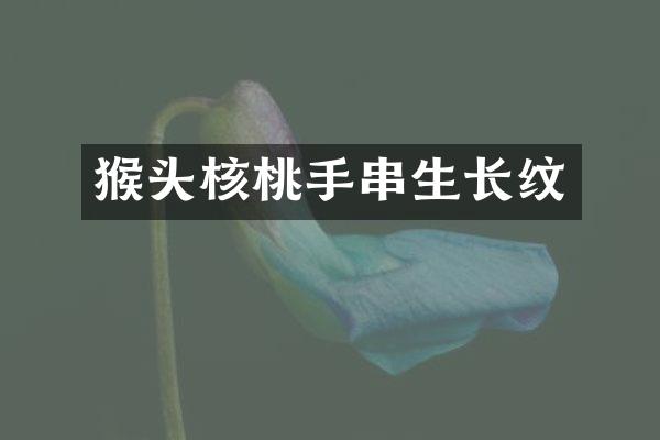 猴头核桃手串生长纹