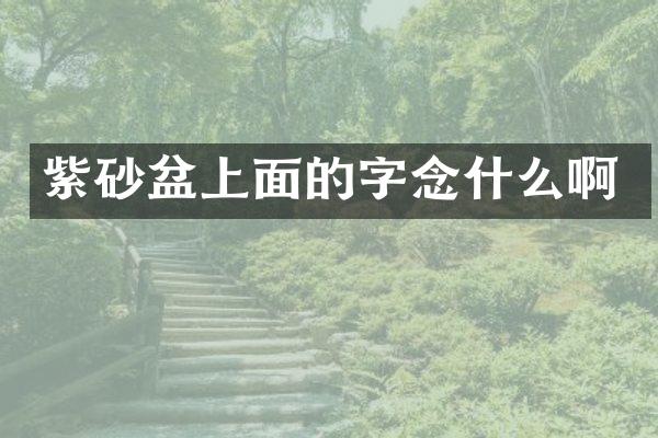 紫砂盆上面的字念什么啊