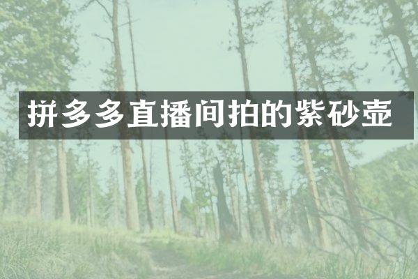 拼多多直播间拍的紫砂壶