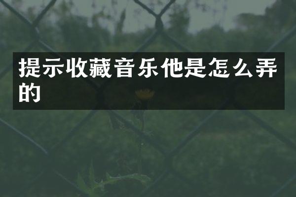 提示收藏音乐他是怎么弄的