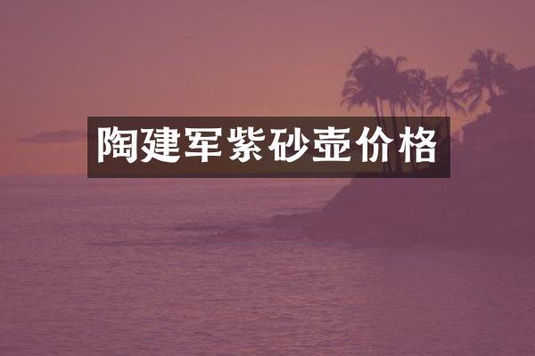 陶建军紫砂壶价格