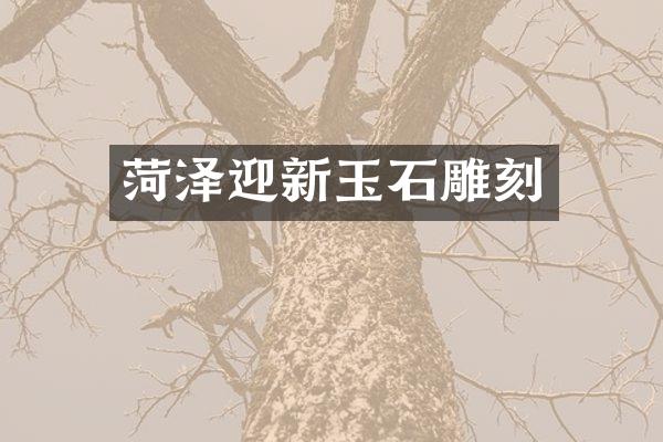 菏泽迎新玉石雕刻