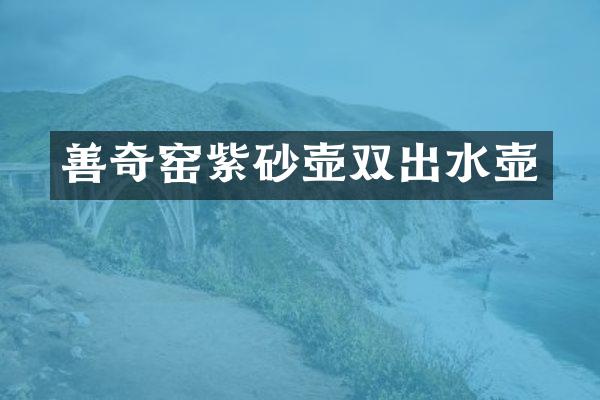 善奇窑紫砂壶双出水壶