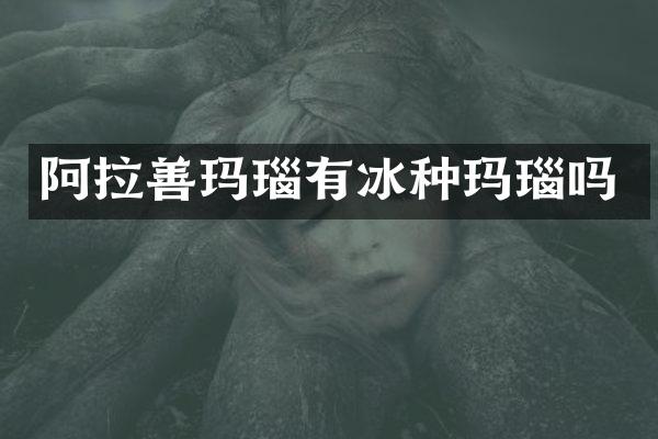 阿拉善玛瑙有冰种玛瑙吗