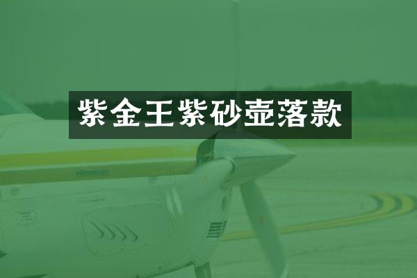 紫金王紫砂壶落款