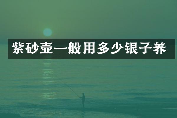 紫砂壶一般用多少银子养