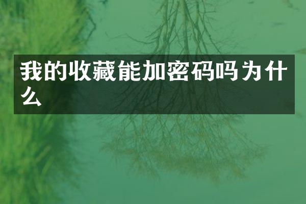 我的收藏能加密码吗为什么
