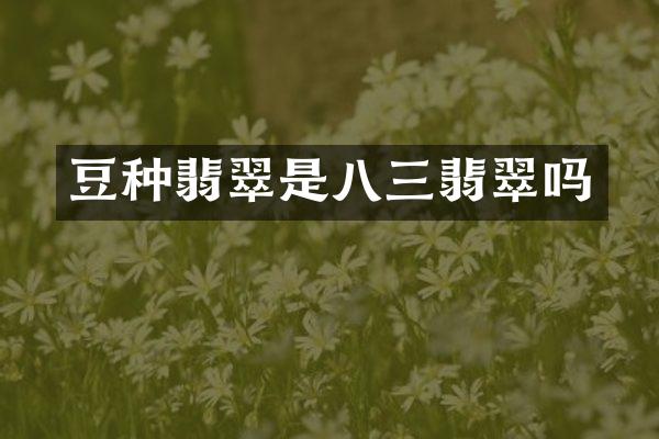 豆种翡翠是八三翡翠吗