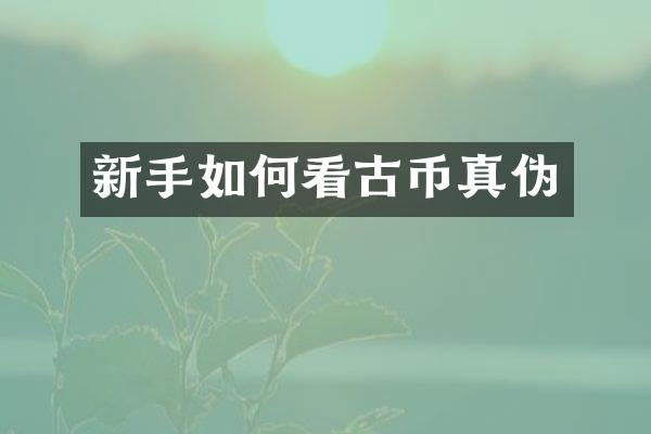新手如何看古币真伪