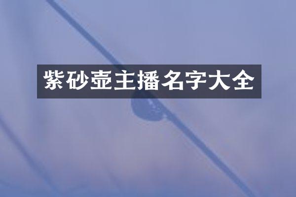 紫砂壶主播名字大全
