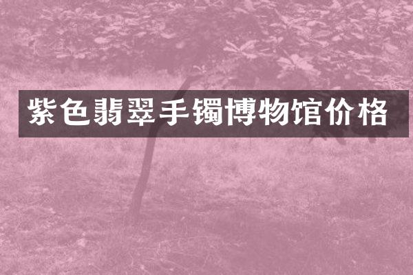 紫色翡翠手镯博物馆价格