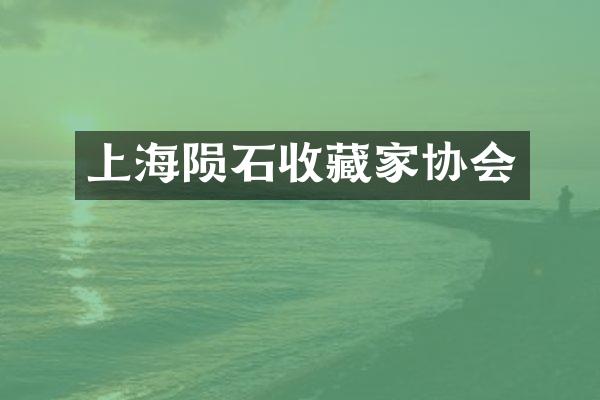 上海陨石收藏家协会