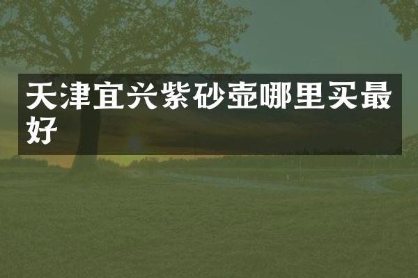 天津宜兴紫砂壶哪里买最好