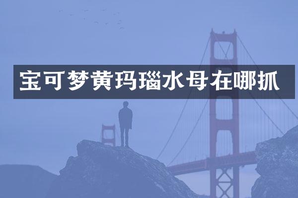 宝可梦黄玛瑙水母在哪抓