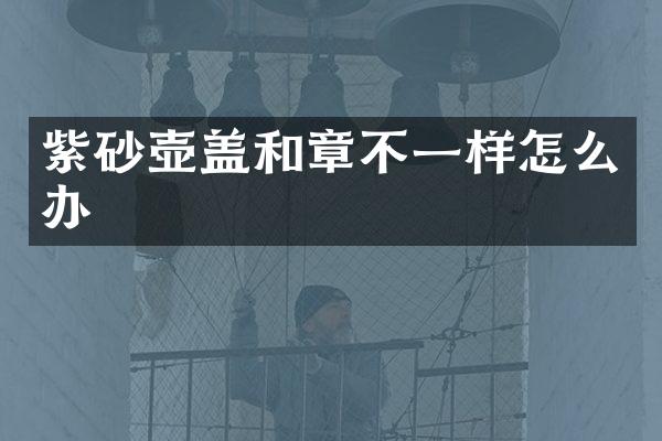 紫砂壶盖和章不一样怎么办