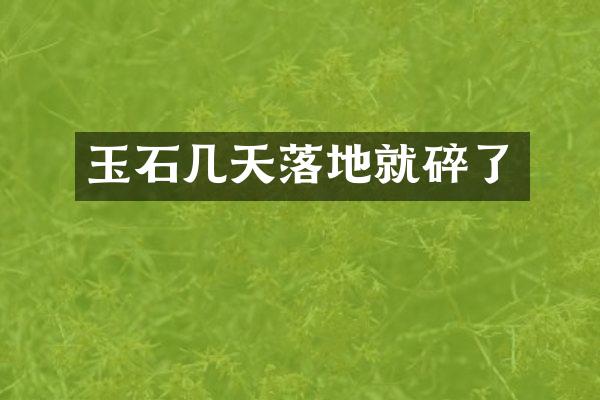 玉石几天落地就碎了