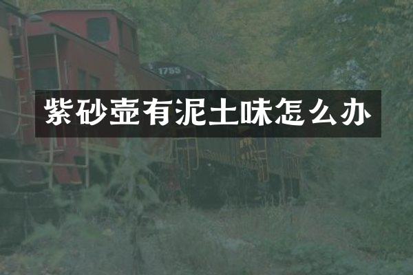 紫砂壶有泥土味怎么办