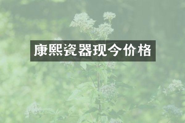康熙瓷器现今价格