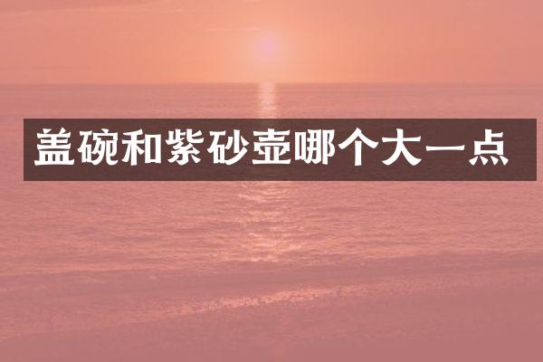盖碗和紫砂壶哪个大一点