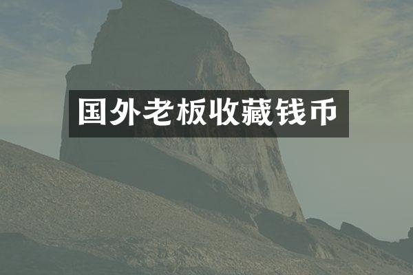 国外老板收藏钱币