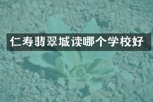 仁寿翡翠城读哪个学校好
