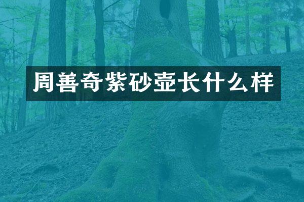 周善奇紫砂壶长什么样