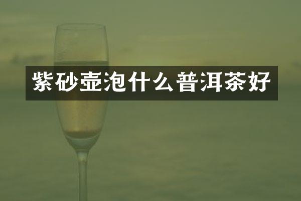 紫砂壶泡什么普洱茶好
