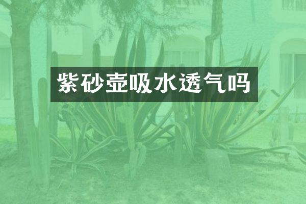 紫砂壶吸水透气吗
