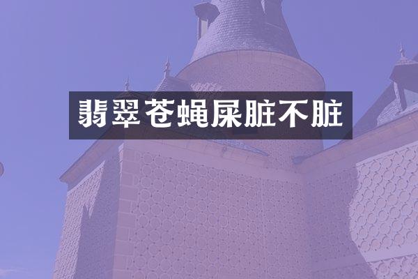 翡翠苍蝇屎脏不脏