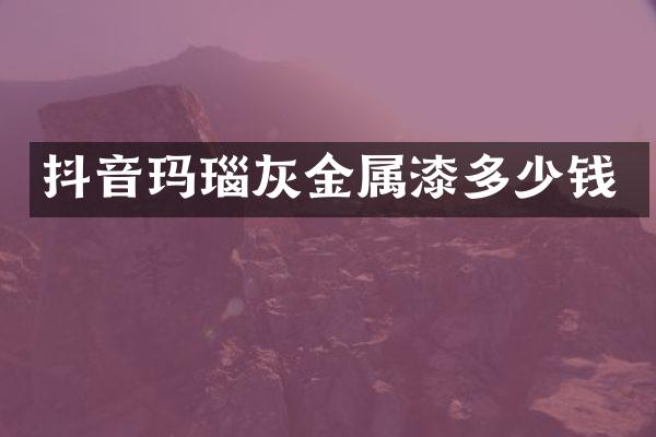 抖音玛瑙灰金属漆多少钱