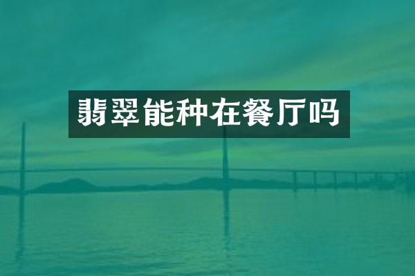 翡翠能种在餐厅吗