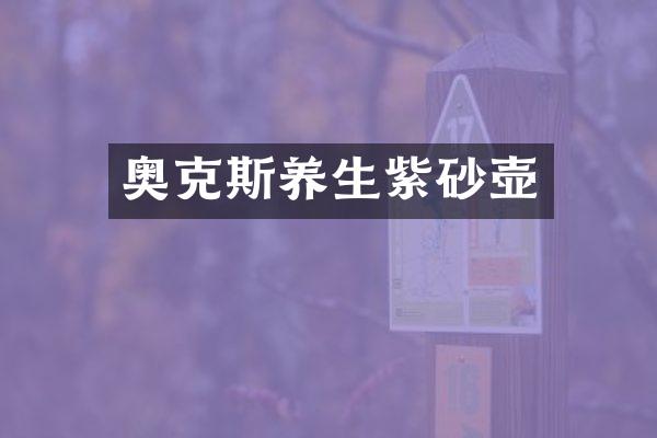 奥克斯养生紫砂壶