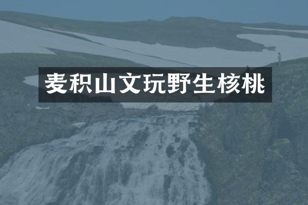 麦积山文玩野生核桃
