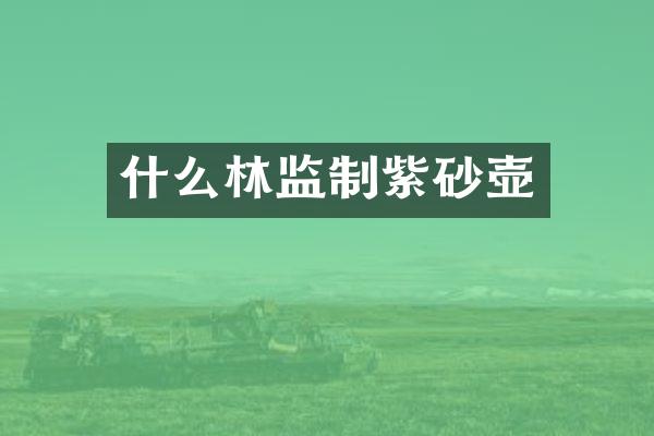 什么林监制紫砂壶