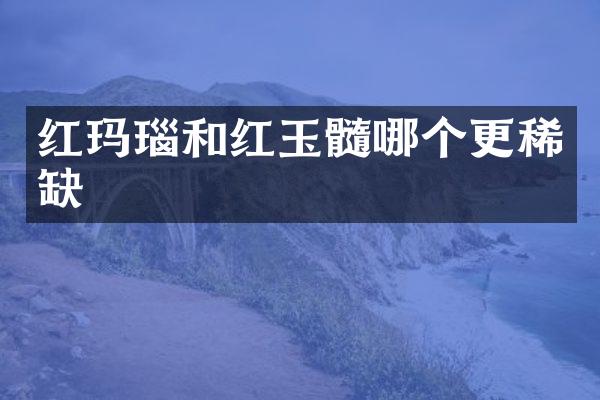 红玛瑙和红玉髓哪个更稀缺